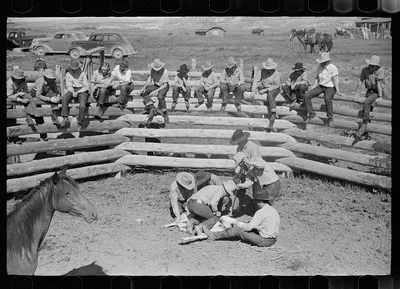 Branding a colt, Quarter Circle U roundup, Montana, 1939