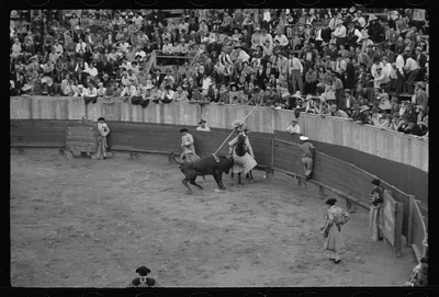 A picador, bullfight, Matomoros, Mexico, Matamoros, 1942