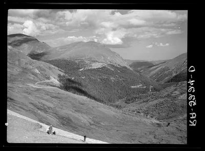 Timber line in the Colorado Rockies, 1936