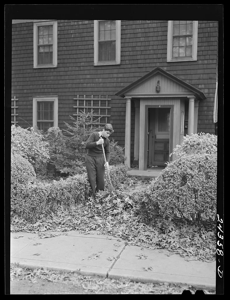 Sweeping fallen leaves in the suburbs. New York City, New York (State), 1941