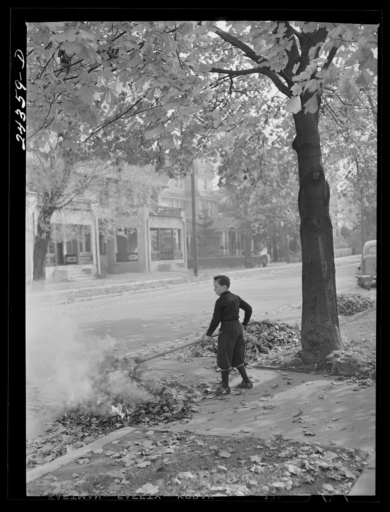 Burning fallen leaves. New York City suburbs, New York (State), 1941