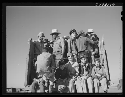 Migratory workers returning from day's work. Robstown camp, Texas, 1942