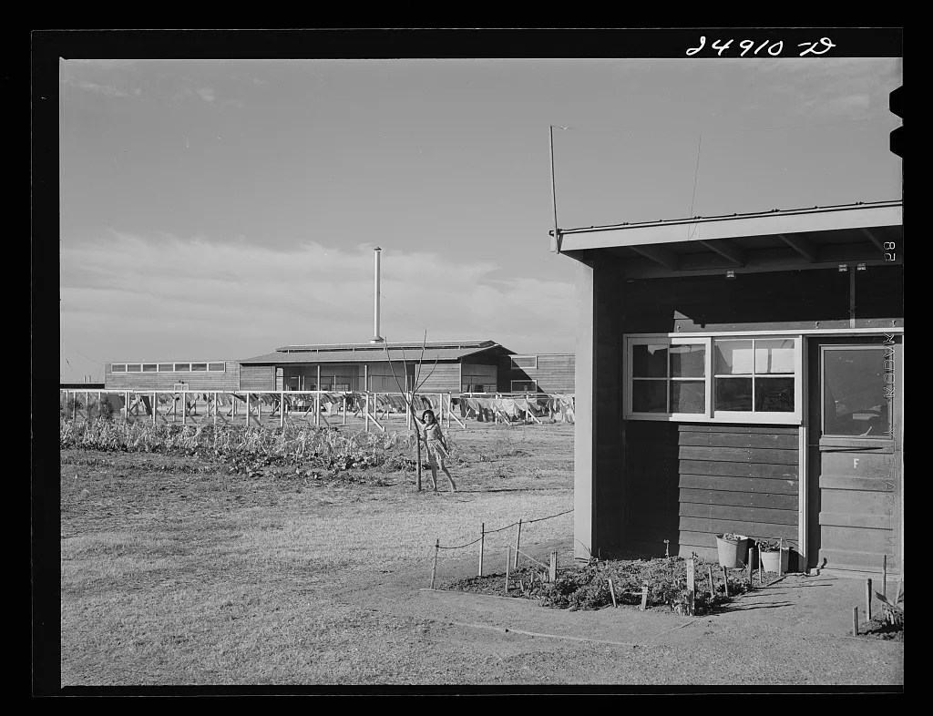 View of camp. FSA (Farm Security Administration) camp, Robstown, Texas, 1942