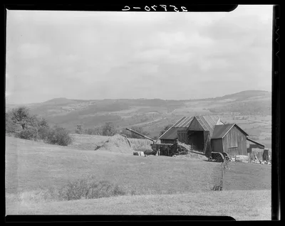 Threshing. Otsego County, New York, New York (State), 1937