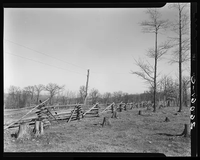 Rail fence. Garrett County, Maryland, 1937
