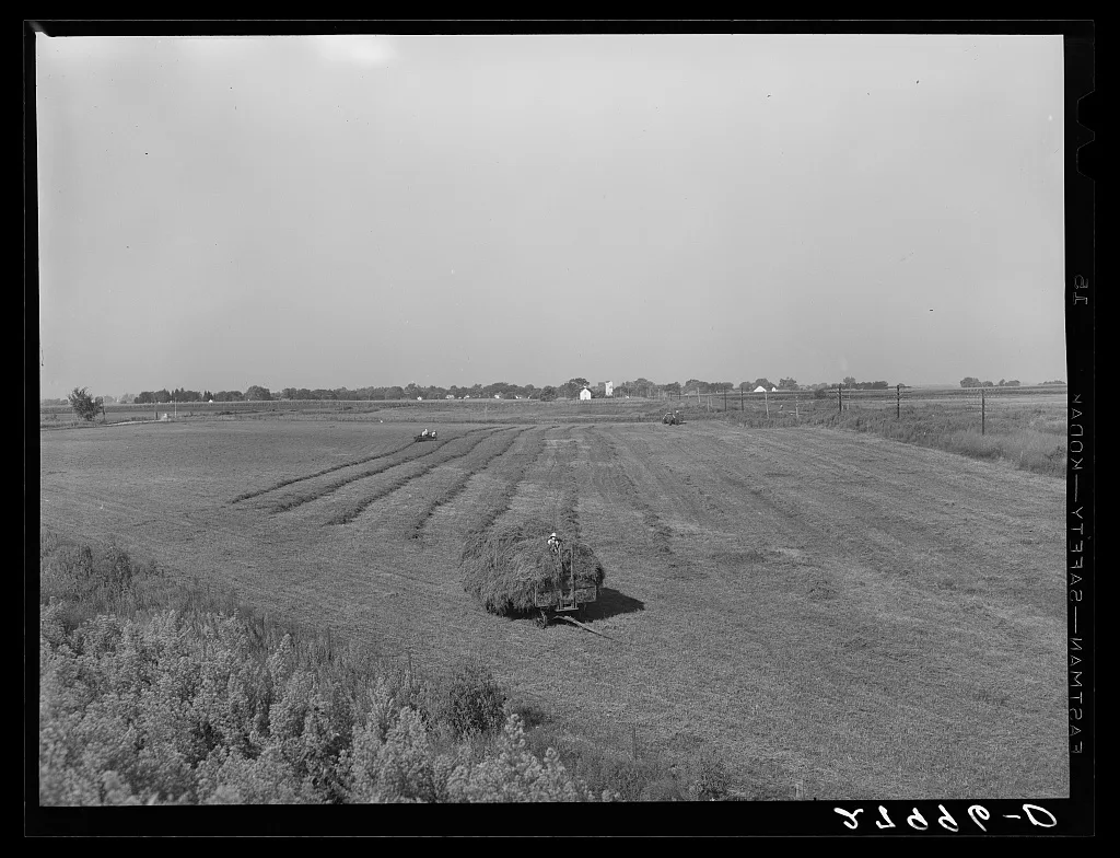 Hay meadow. Hardin County, Iowa, 1939