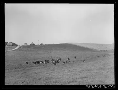 Farm. Marshall County, Iowa, 1939