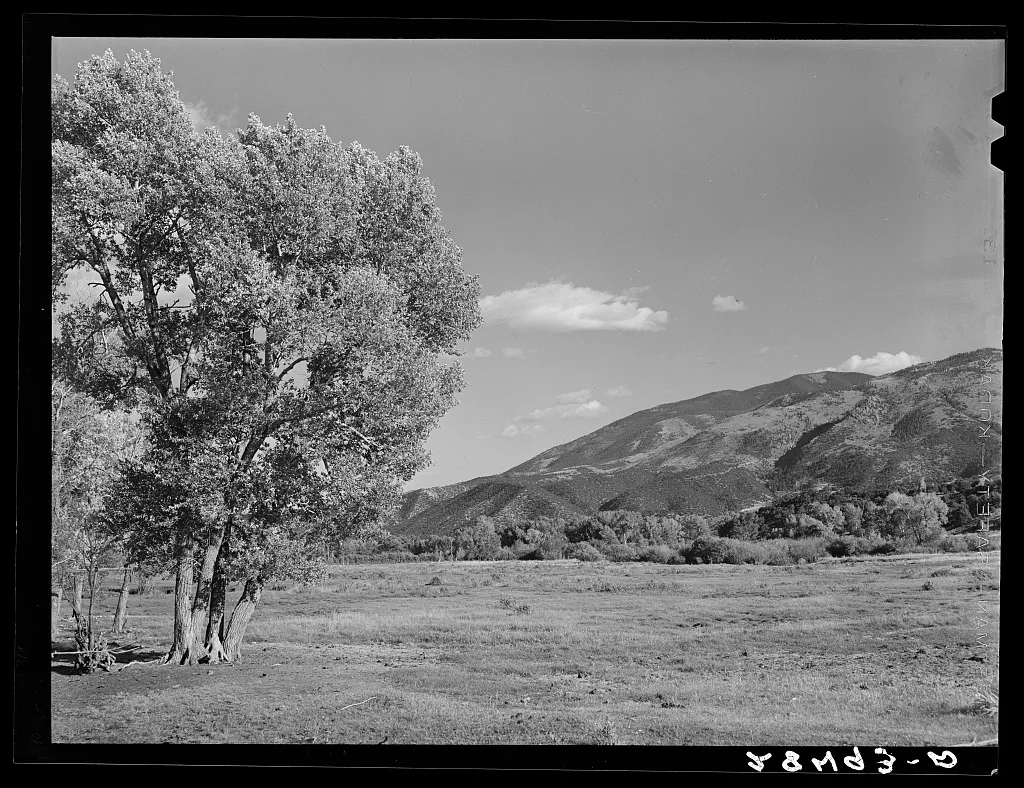 Pasture in foothills of Rocky Mountains. Fremont County, Colorado, 1939