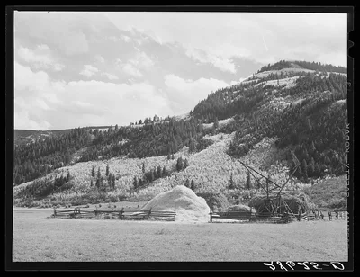 Hay meadow. Eagle County, Colorado, 1939