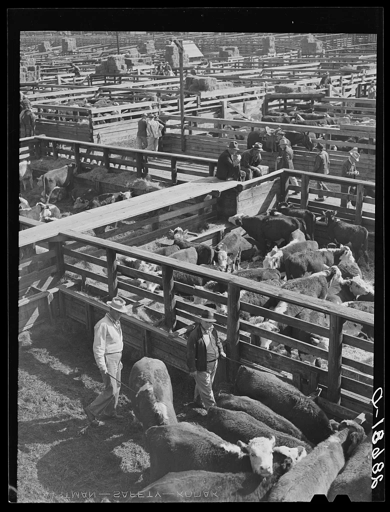 Stockyards. Denver, Colorado, 1939