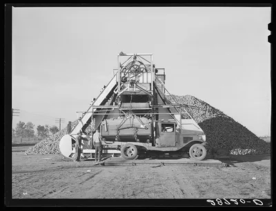 Sugar beets in farmer's truck are unloaded at railroad. Adams County,…, Colorado, 1939