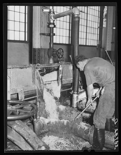 Loading chopped sugar beets into duffusion chambers. Sugar factory.…, Colorado, 1939