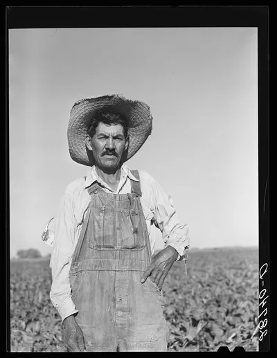 Spanish-American sugar beet worker. Adams County, Colorado, 1939