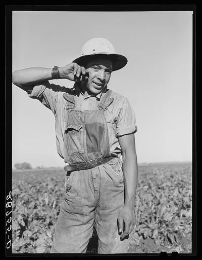 Young Spanish-American sugar beet worker. Adams County, Colorado, 1939