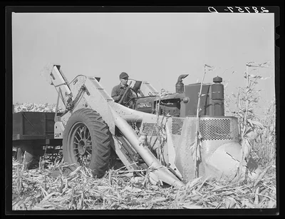 Mechanical corn picker. Fred Coulter farm. Grundy County, Iowa, 1939