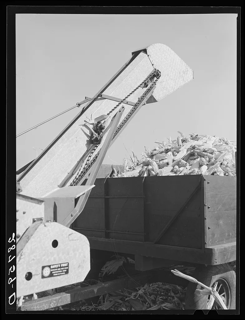 Mechanical corn picker. Fred Coulter farm. Grundy County, Iowa, 1939