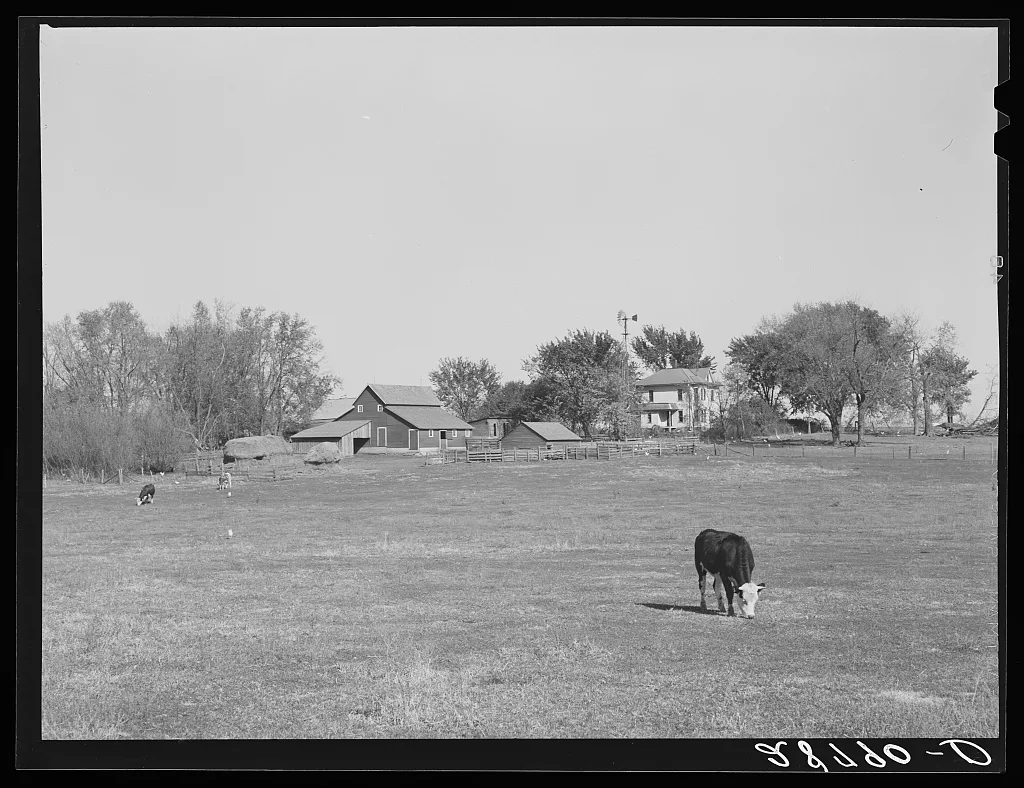 Farm. Grundy County, Iowa, 1939