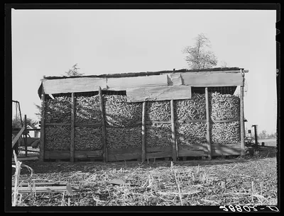 Corn crib. Grundy County, Iowa, 1939