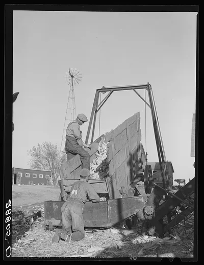 Unloading corn into elevator for storage in crib. Grundy County, Iowa, 1939