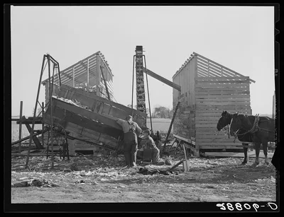 During an abundant harvest many corn cribs are filled while they are…, Iowa, 1939