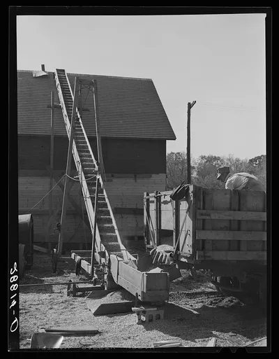 Storing shelled corn in elevator. Grundy County, Iowa, 1939