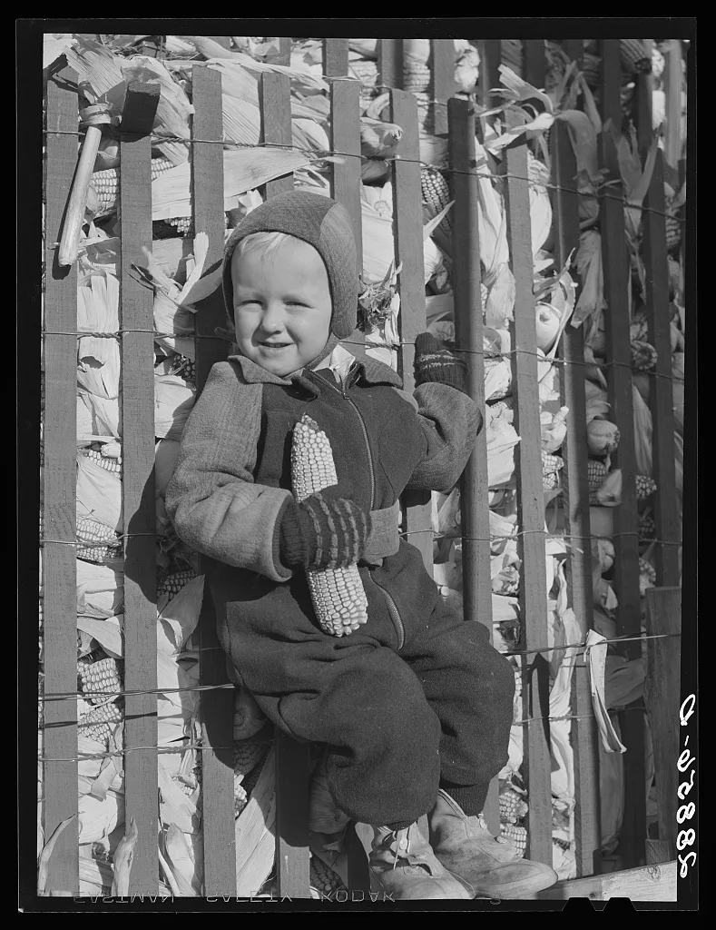 Farmer's son. Grundy County, Iowa, 1939
