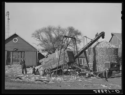 [Untitled photo, possibly related to: Storing corn during harvest.…, Iowa, 1939