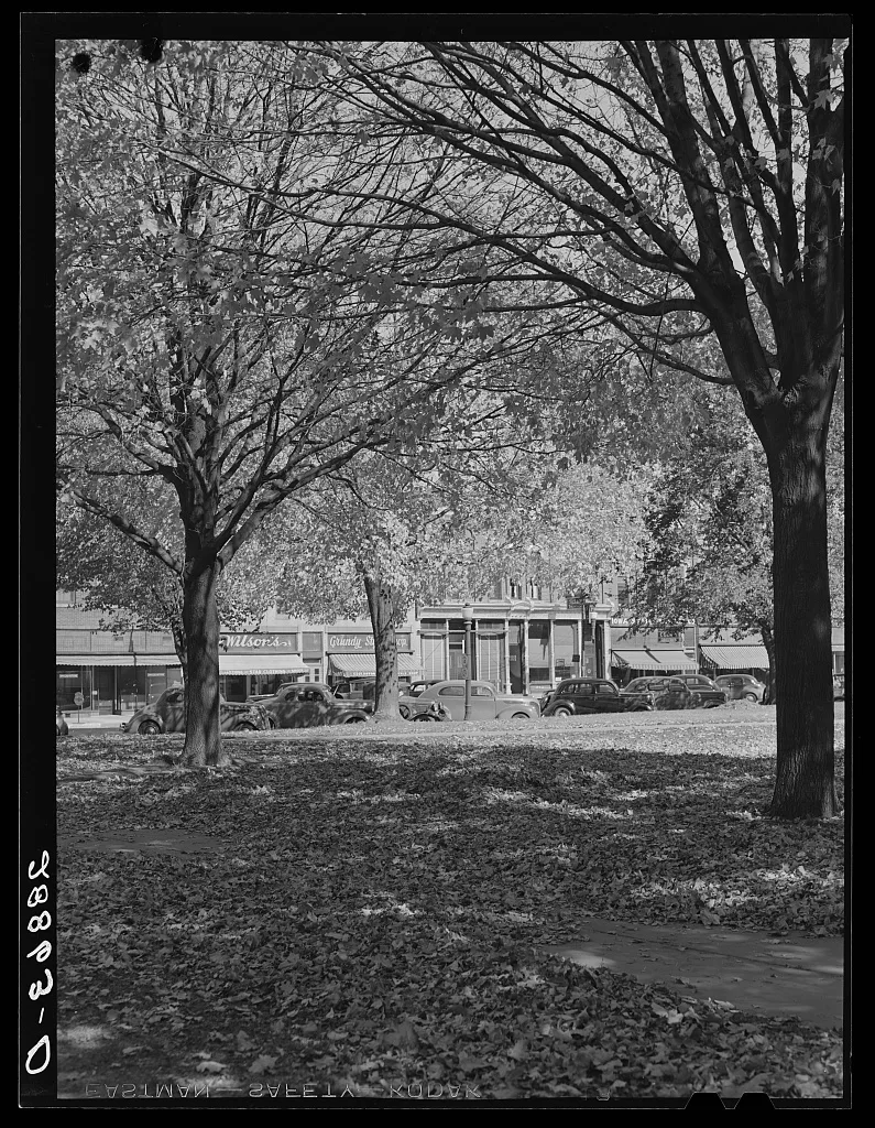 Leaves on courthouse lawn. Grundy Center, Iowa, 1939