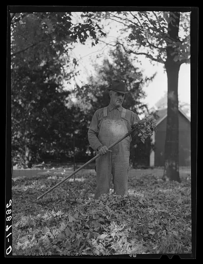 Photograph from Iowa: Farmer raking leaves. Grundy County, Iowa