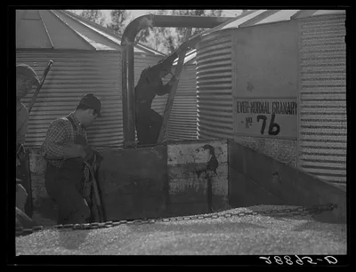 [Untitled photo, possibly related to: Storing corn in ever-normal…, Iowa, 1939