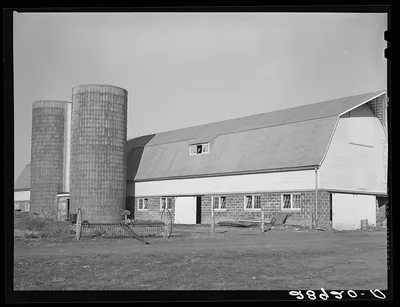 Modern dairy farm at the Bois d'Arc cooperative makes possible…, Missouri, 1939
