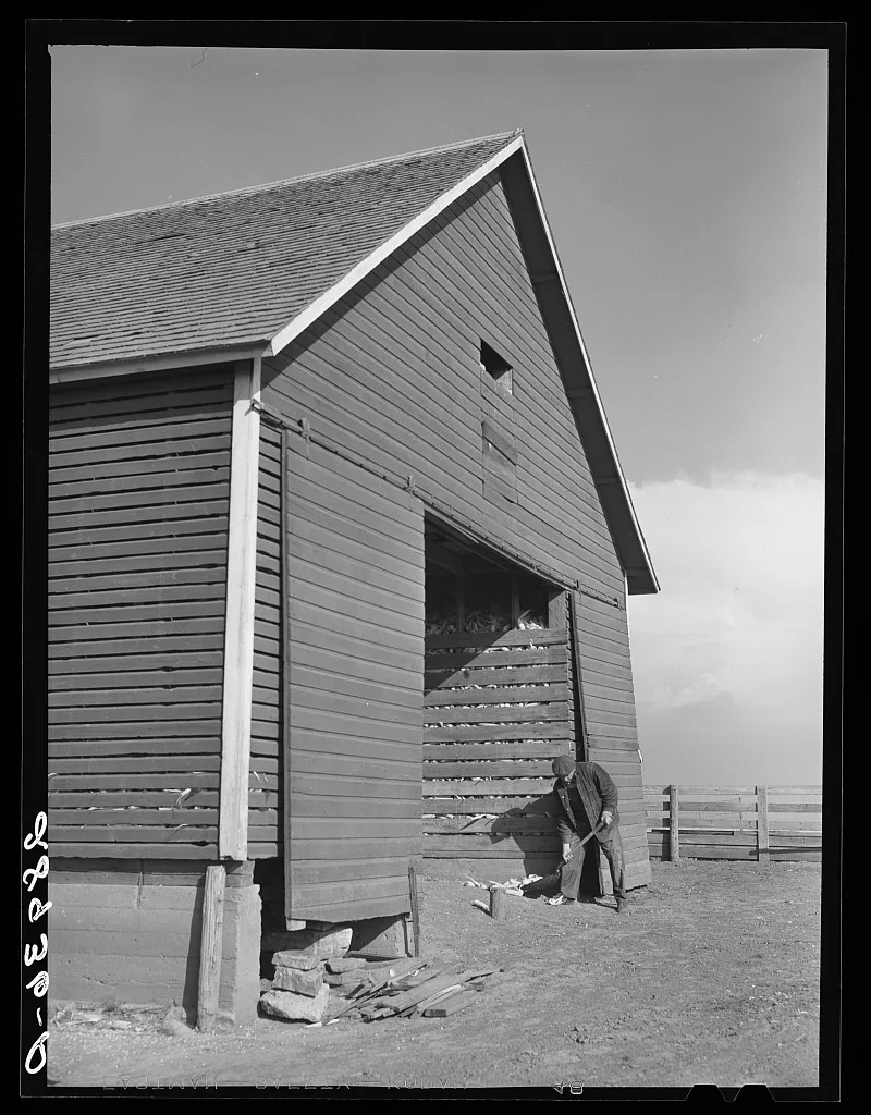 Fred Maschman, TP Client, raises all his own feed for his hogs,…, Iowa, 1939