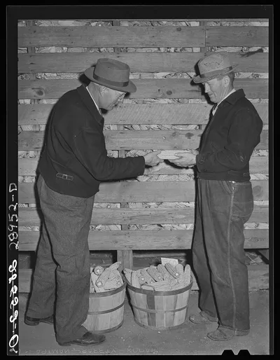 Hybrid corn salesman. Cornhusking contest. Marshall County, Iowa, 1939