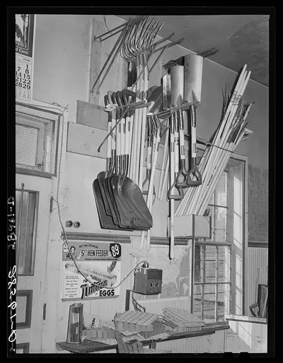 Farm implements and egg candler. General store. Lamoille, Iowa, 1939