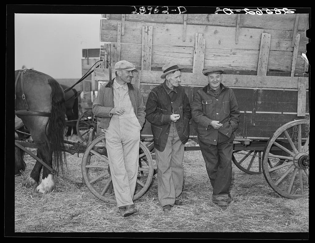 Farmers at cornhusking contest. Marshall County, Iowa, 1939