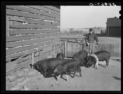 Fred Wilfang, rehabilitation client, derives most of his cash income…, Iowa, 1939