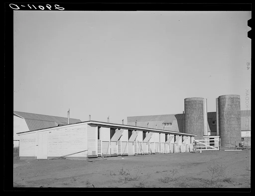 [Untitled photo, possibly related to: Buildings are efficiently…, Missouri, 1939