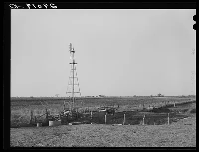Watering tank for feeder cattle. Bois d'Arc Cooperative. Osage Farms,…, Missouri, 1939