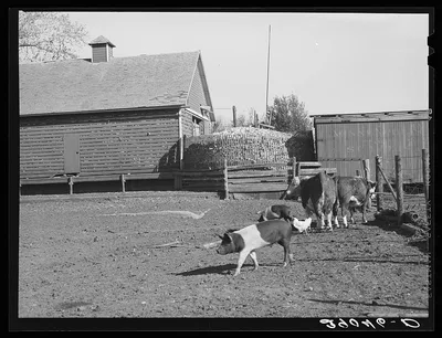 [Untitled photo, possibly related to: Corncrib on Fred Goecke's farm.…, Iowa, 1939