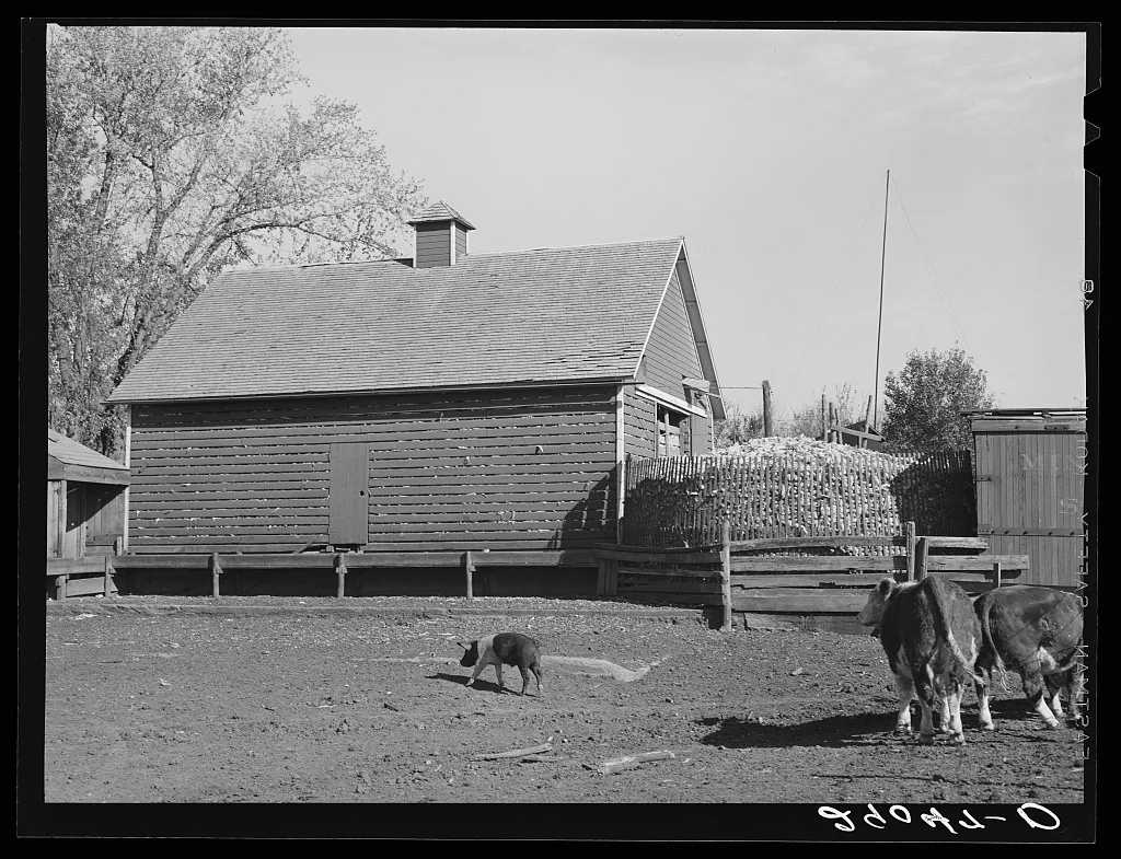 [Untitled photo, possibly related to: Corncrib on Fred Goecke's farm.…, Iowa, 1939