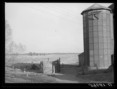 Silo and corn crib. Black Hawk County, Iowa, 1939