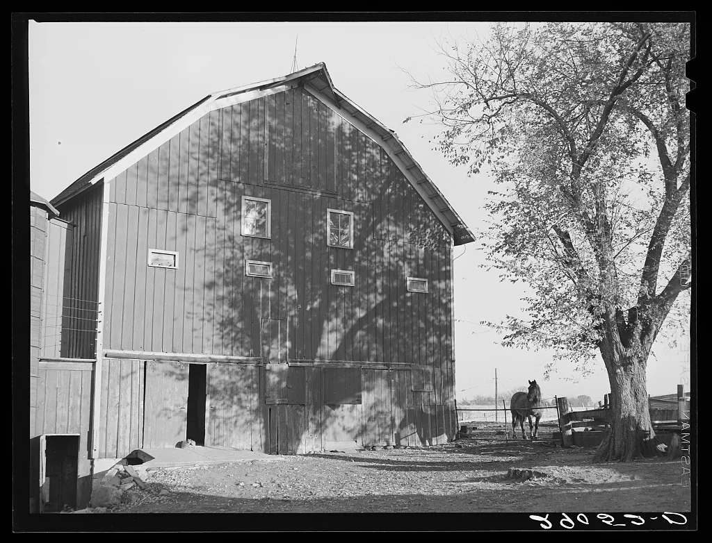 Barn. Black Hawk County, Iowa, 1939