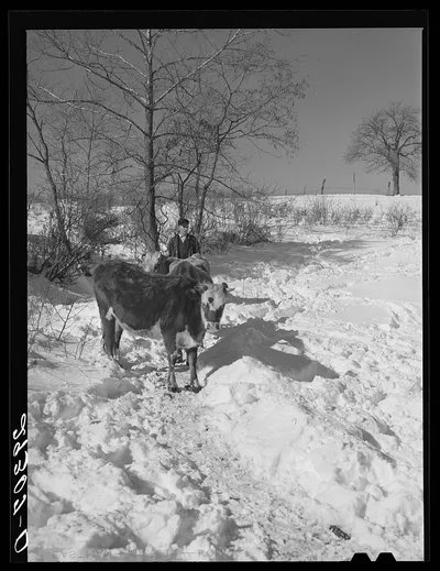 [Untitled photo, possibly related to: Ira Ison, rehabilitation…, Ohio, 1940