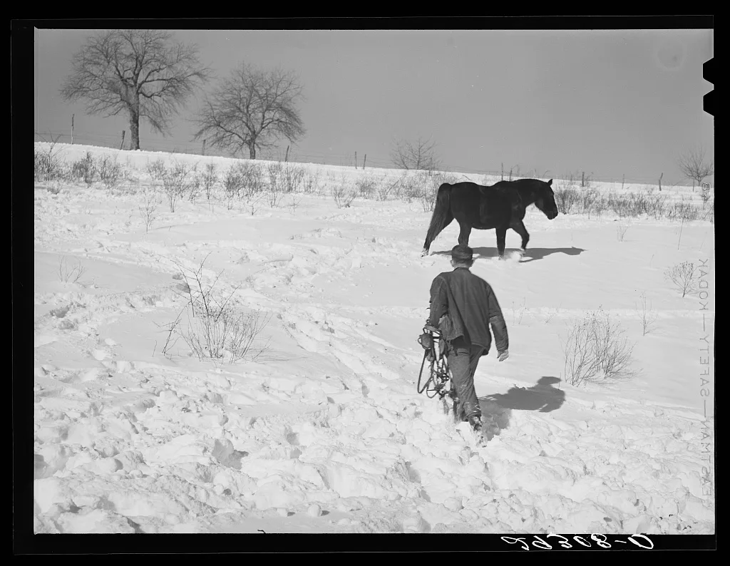 Horse on Ira Ison's farm. Ross County, Ohio, 1940