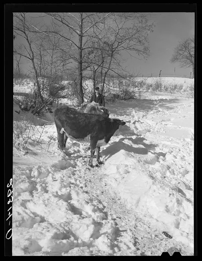 [Untitled photo, possibly related to: Ira Ison, rehabilitation…, Ohio, 1940