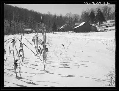 Farm. Ross County, Ohio, 1940