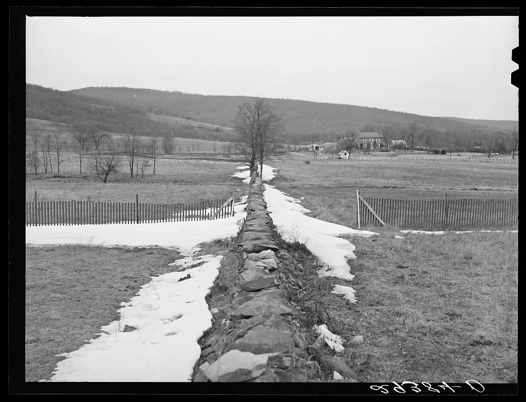 [Untitled photo, possibly related to: Farm. Frederick County,…, Virginia, 1940