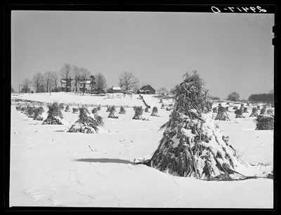 Farm. Ross County, Ohio, 1940