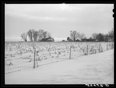 Farm. Marshall County, Iowa, 1940