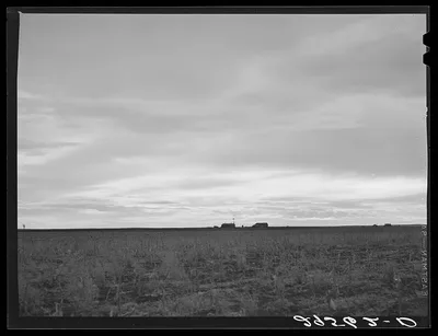 Sunset near Imperial, Nebraska, 1940